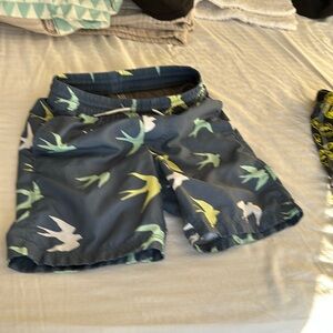 Gap swim trunks size xl 12 boys
